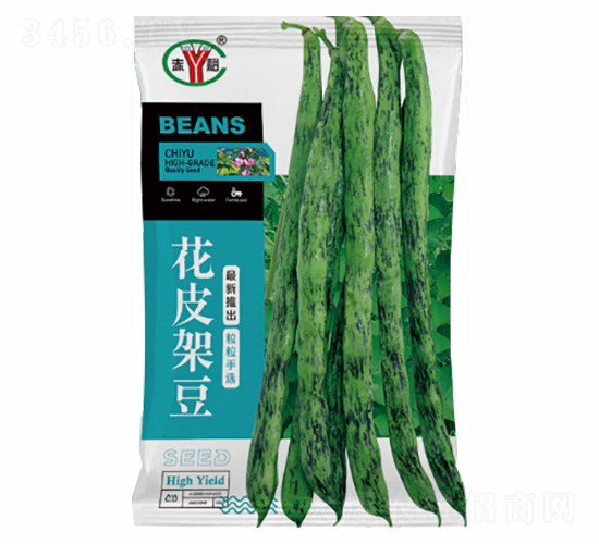 花皮架豆-諾易達