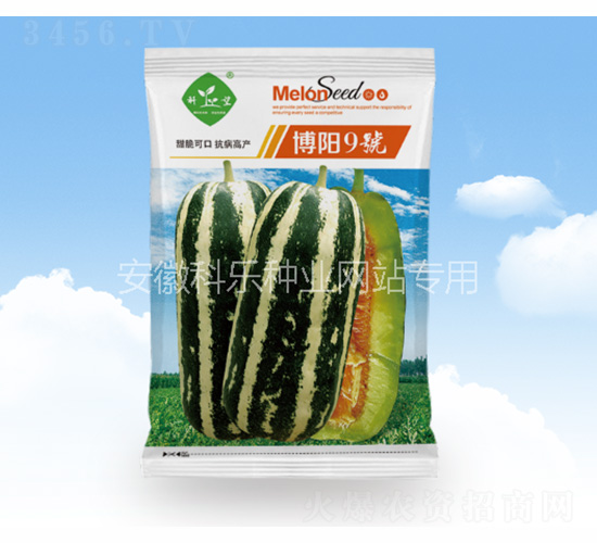 博陽9號-科樂種業(yè)