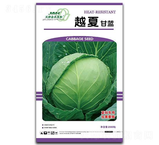 越夏-甘藍(lán)種子-金木茂和