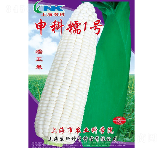 申科糯1號(hào)玉米種子-農(nóng)科種子