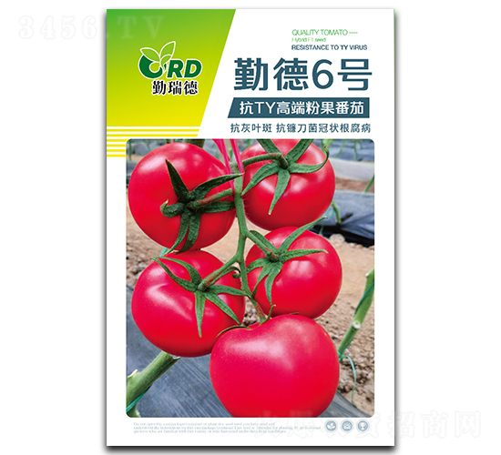 勤德6號-番茄種子-比爾種苗