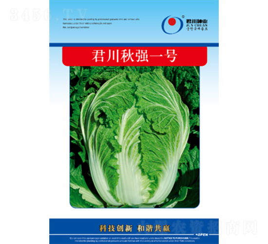 君川秋強(qiáng)一號-白菜種子-君川種業(yè)