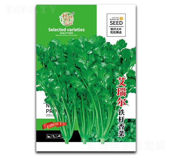 艾瑞爾鐵桿香菜種子-怡妍農(nóng)業(yè)