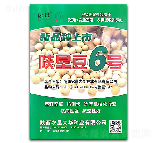 ꃉ6̖(ho)-󶹷N-ꃉA