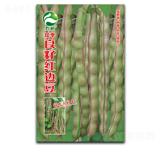 雙季良籽紅邊豆-豇豆種子-良籽農業(yè)