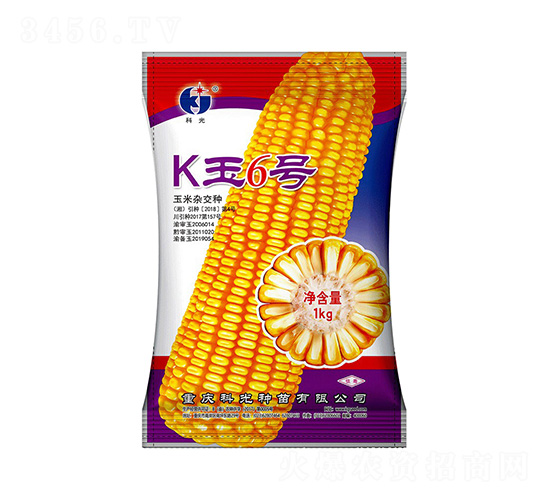K6̖-ƹN