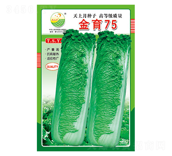 ײ˷N-75-̫(l)NI(y)