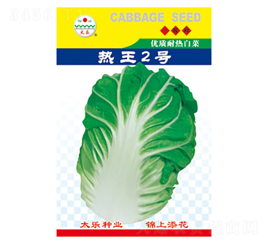 白菜種子-熱王2號-太樂種業(yè)