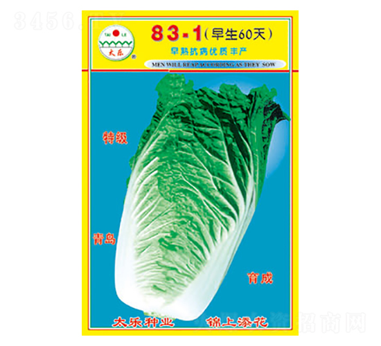 白菜種子-83-1-太樂(lè)種業(yè)