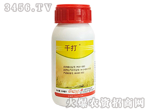 5.3%׾S-ǧ-չi