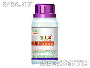 200ml}--ʩ