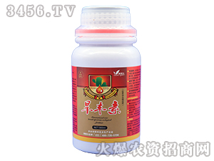 300mlS-ڼژ(l)