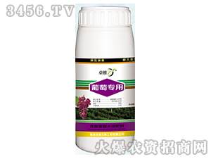 ь(zhun)-׿-