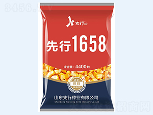 先行1658-玉米種子-金專(zhuān)環(huán)球農(nóng)業(yè)
