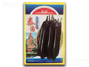泰國(guó)王子228-茄子種子-華葉