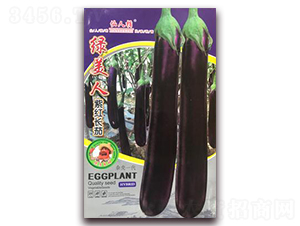 綠美人-茄子種子-華葉