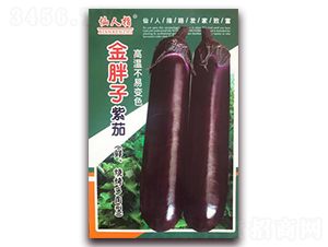金胖子-茄子種子-華葉