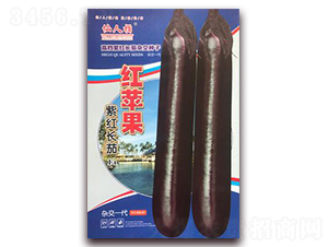 紅蘋果-茄子種子-華葉