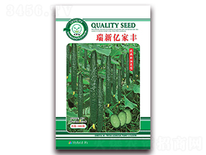 瑞新億家豐-黃瓜種子-億家豐