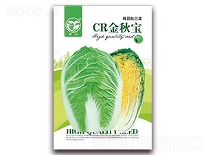 CR金秋寶-娃娃菜種子-春潤(rùn)種業(yè)