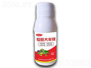 控旺大豐收-倍得豐
