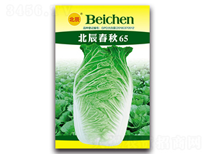 北辰春秋65-大白菜種子-北方種業(yè)