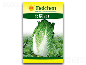 北辰831-大白菜種子-北方種業(yè)