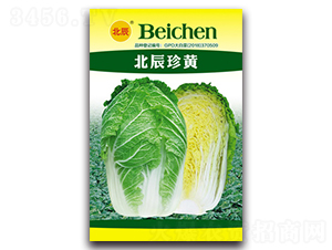 北辰珍黃-大白菜種子-北方種業(yè)