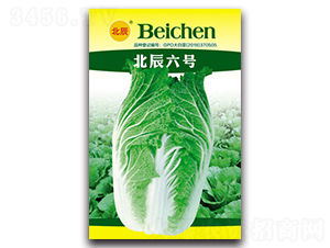 北辰六號(hào)-大白菜種子-北方種業(yè)