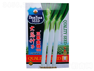 三系金棒100號(hào)（10g）-大蔥種子-鑫星農(nóng)業(yè)