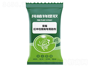 草莓紅中柱根腐專用助劑-千沐草