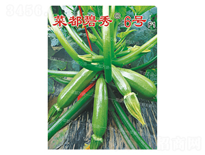 菜都碧秀6號(hào)-西葫蘆種子-菜都萬(wàn)盛