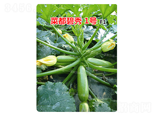 菜都碧秀1號(hào)-西葫蘆種子-菜都萬(wàn)盛