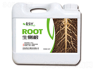 生側(cè)根-美髯公-世紀(jì)豐