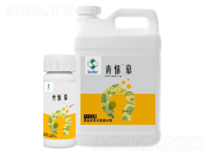 青愫慕-世多樂