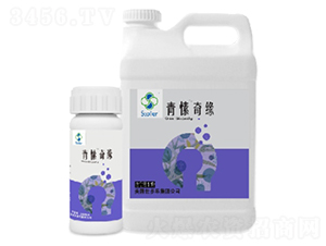 青愫奇緣-世多樂