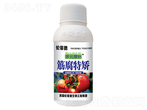 250ml筋腐特矯葉面肥-多元厚補(bǔ)-田俊肥業(yè)