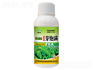 茶飽滿-多元厚補(bǔ)-田俊肥業(yè)