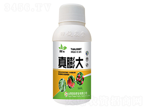 真膨大葉面肥-田俊肥業(yè)