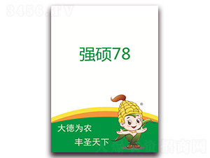 強碩78-玉米種子-德圣種業(yè)
