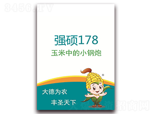 強(qiáng)碩178-玉米種子-德圣種業(yè)