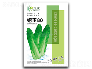 紹玉80-白菜種子-國(guó)研種業(yè)