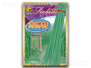 海博特厚肉長(zhǎng)豆角-豆角種子-子龍種業(yè)