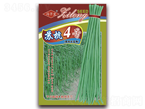 蘇杭4號厚肉長豆角-豆角種子-子龍種業(yè)
