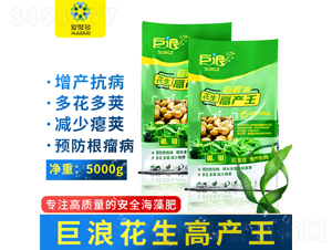 花生高產(chǎn)王-巨浪-愛聚多