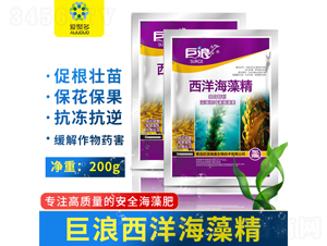 西洋海藻精（袋）-巨浪-愛(ài)聚多