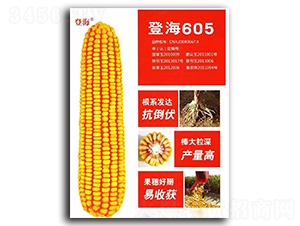 登海605-玉米種子-億享農(nóng)業(yè)