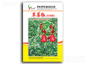 草莓椒-辣椒種子-農(nóng)得豐農(nóng)業(yè)