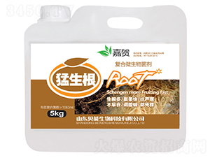 5kg-R-ؐ