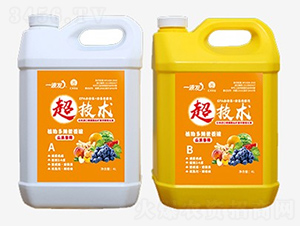 瓜果專(zhuān)用水溶肥-一液發(fā)-匯豐農(nóng)業(yè)